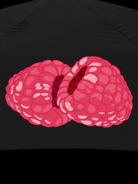 Raspberries