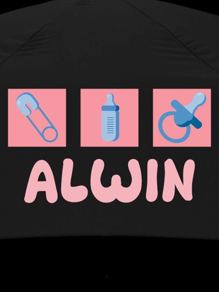 Pacifier Alwin