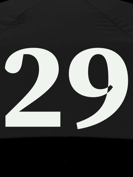 29