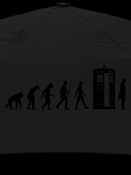 Evolution Tardis