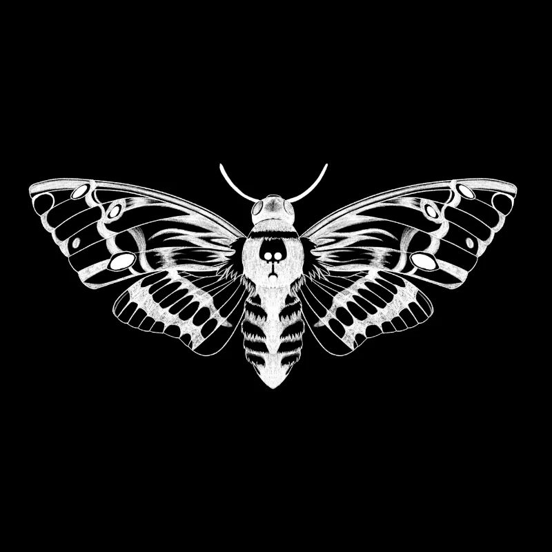 Skull moth illustration / white moth