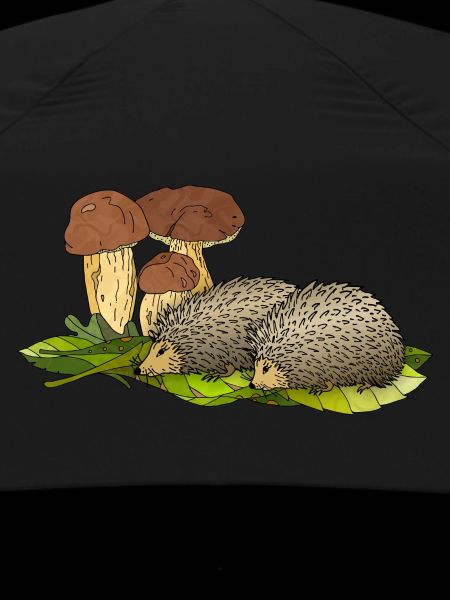 Hedgehogs