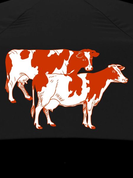 Two red-spotted cows