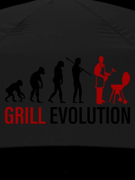 grill evolution