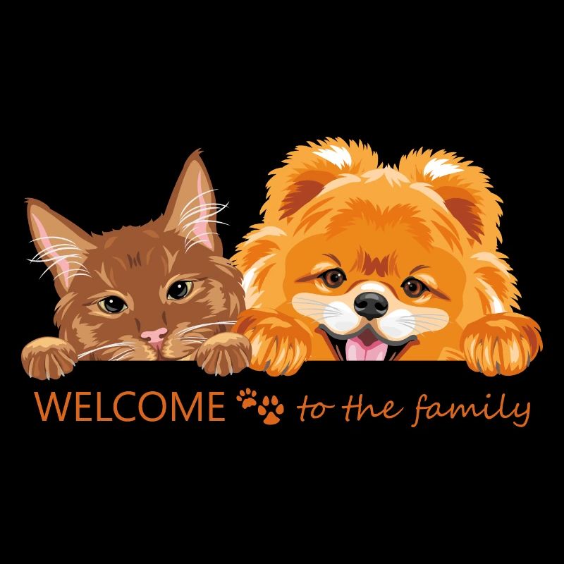 Chat roux et chien de Poméranie