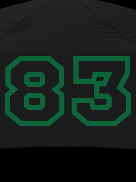 Number 83 sport