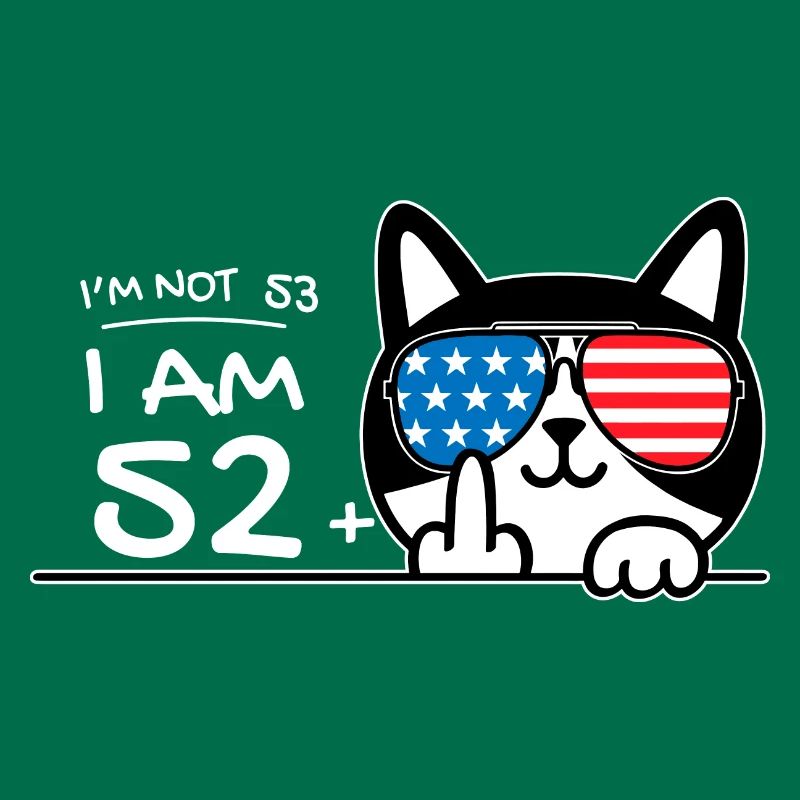 Ich bin nicht 53, ich bin 52 plus 1 Mittelfinger Katzenflip