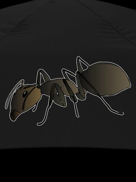 Ant