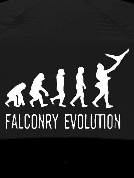 Évolution de la Fauconnerie