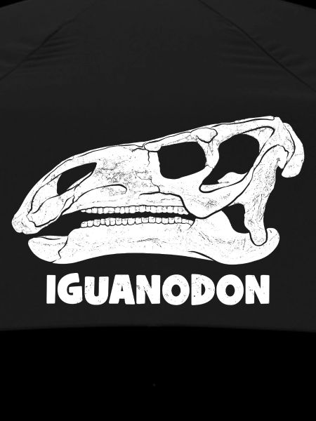 Fossile d’iguanodon
