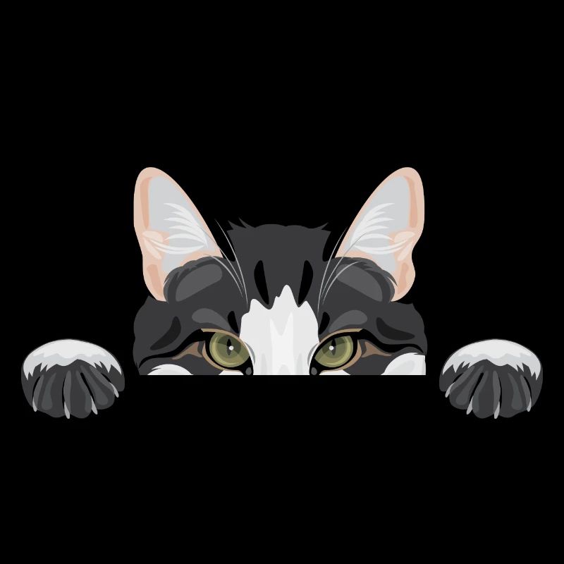 Peeping funny cat