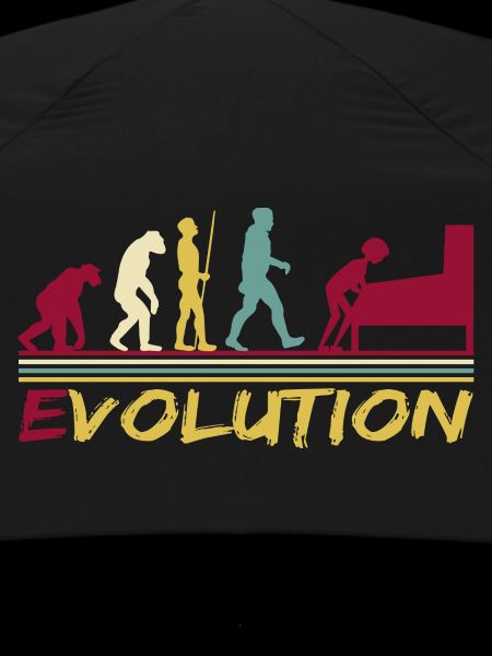 Flipper flipper Evolution Retro