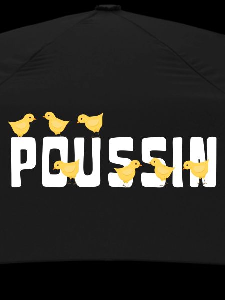 Poussin avec des poussins