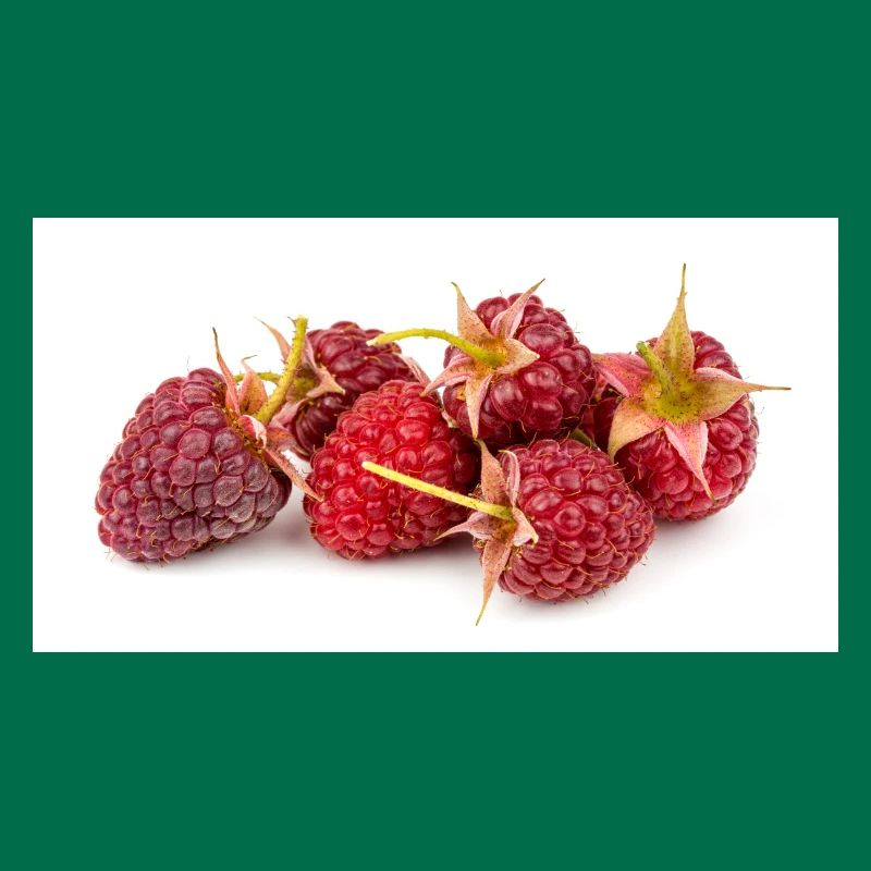 Raspberry. Raspberry