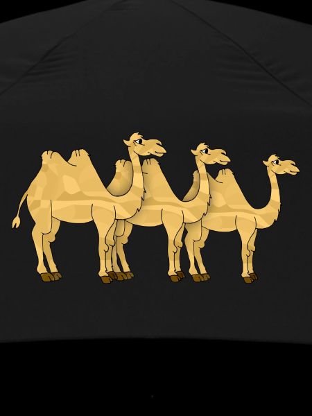 Camels