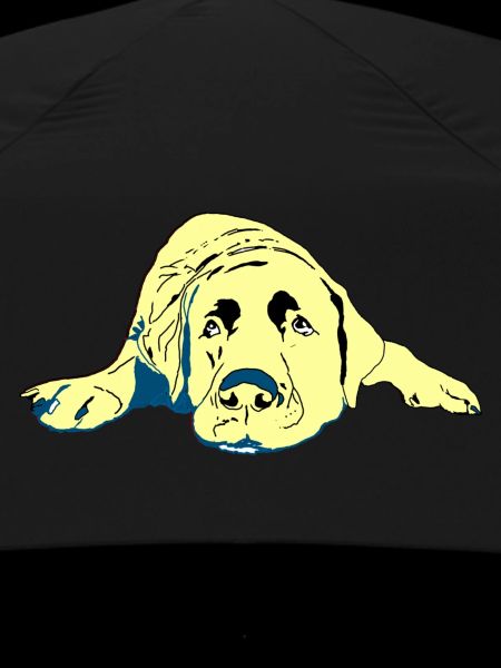 Labrador