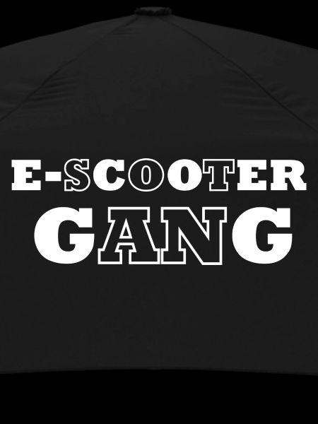 E-Scooter E-Roller Scooter