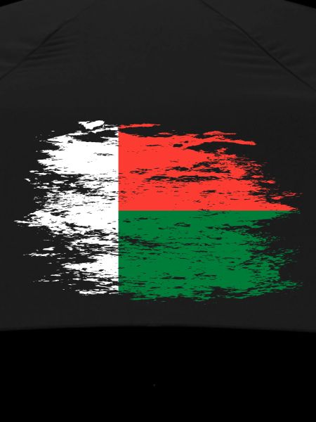 Drapeau de Madagascar utilisé