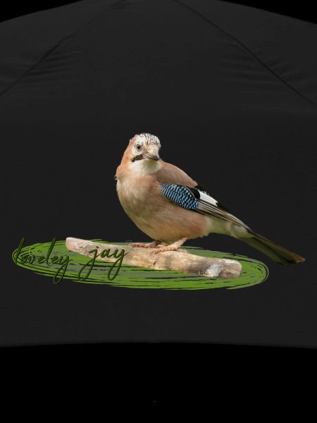 Jay