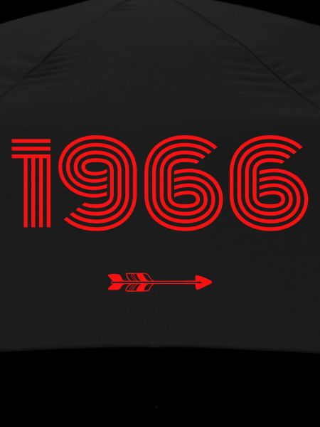 Born in 1966