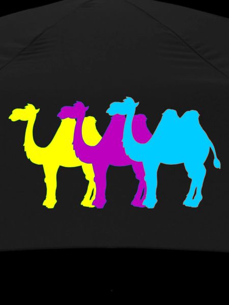 Camels
