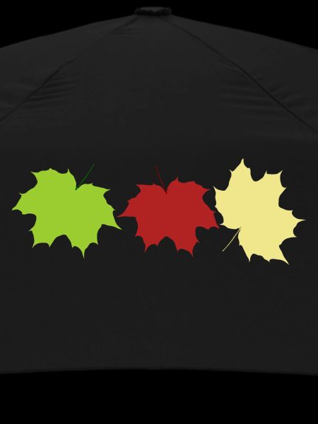 feuilles d’automne