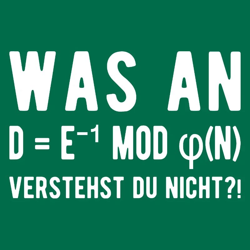 Computer Scientist Computer Science Student Programmer