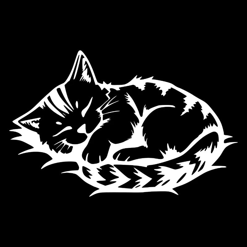 Chat Blanc Endormi