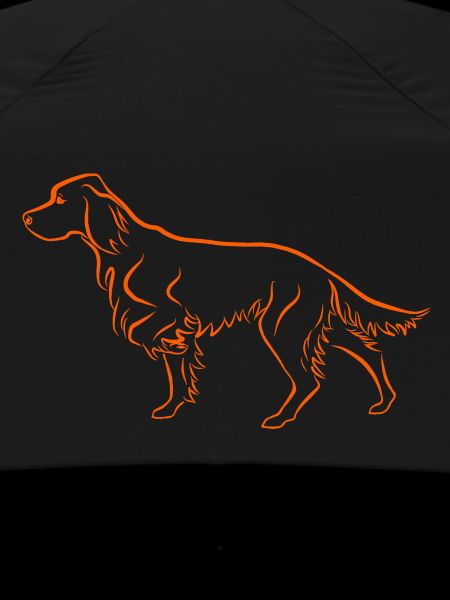 Setter above in orange