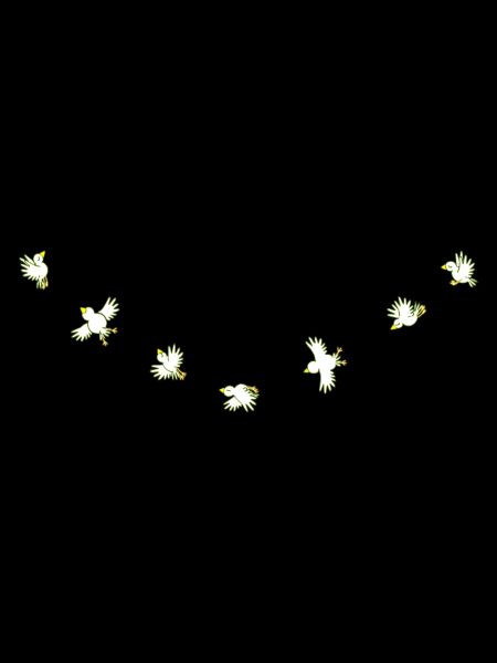 Birdies