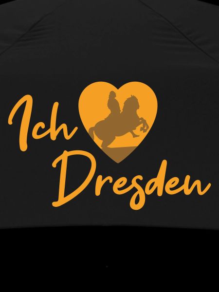 Ich liebe Dresden - Schriftzug