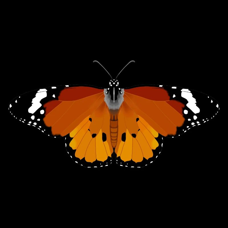 Little Monarch