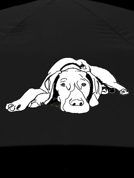 Pointer German Shorthair