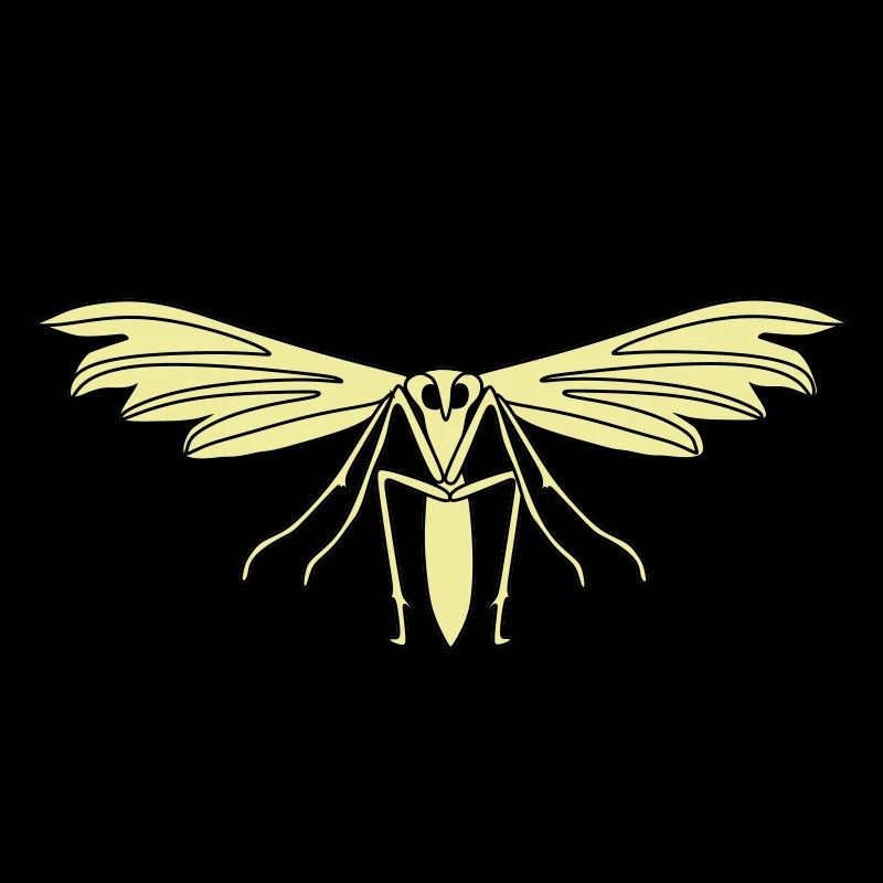 Feather moth
