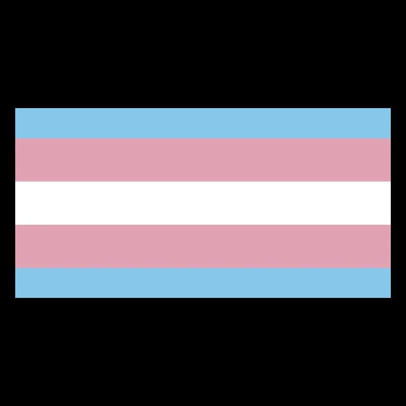 trans pride