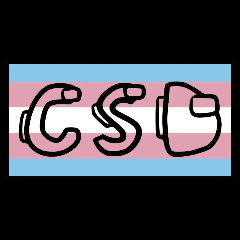 trans pride flag csd