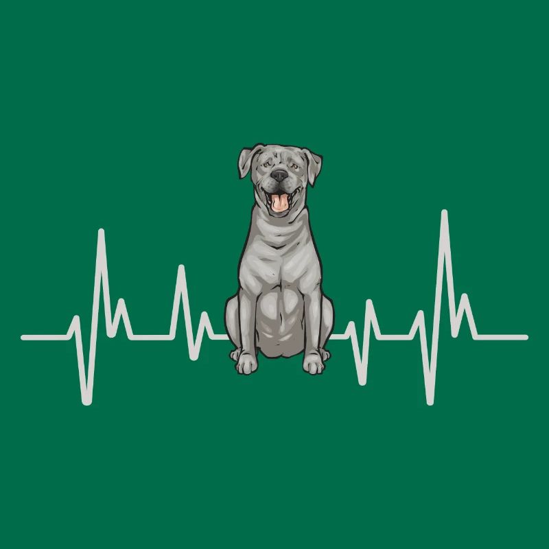 Silver Labrador Retriever Silver Lab