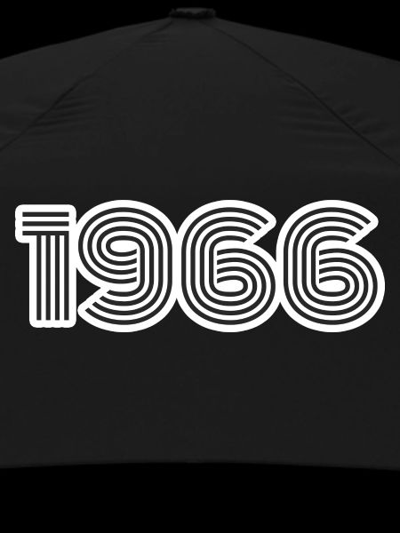 Year of birth 1966