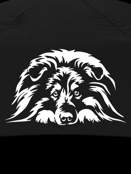 Sheltie "Black Edition"