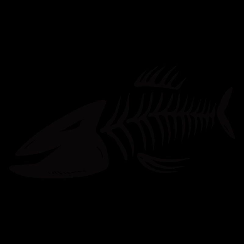 Fischkopf Vector Gräten - In all colours