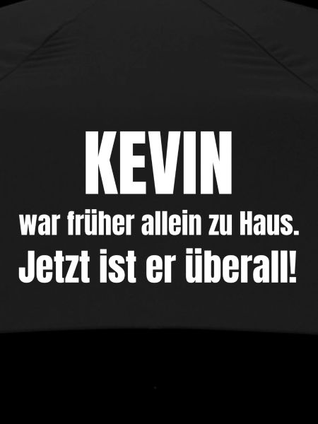 Kevin alone at home
