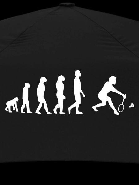 Badminton évolution