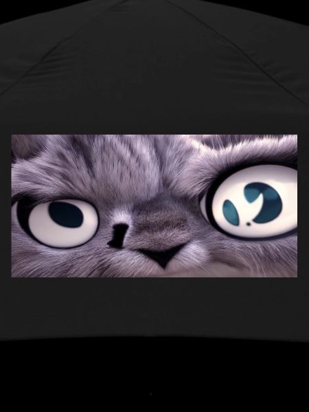 Le chat vous regarde