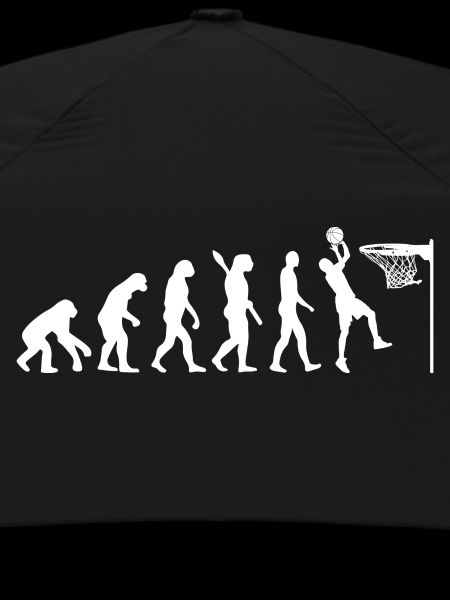 Evolution Basketball Game