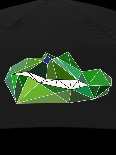 Crocodile