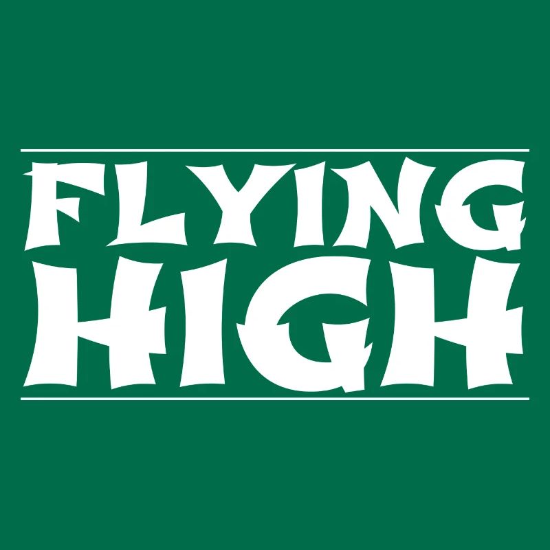 bday graceful flight statement funny sayings pilot