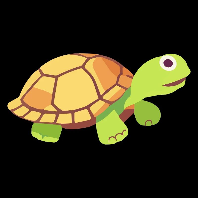 turtle small cute baby