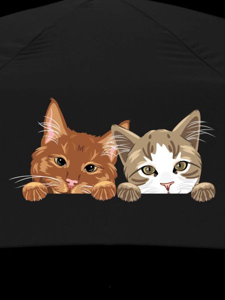 Peeking cute two cats