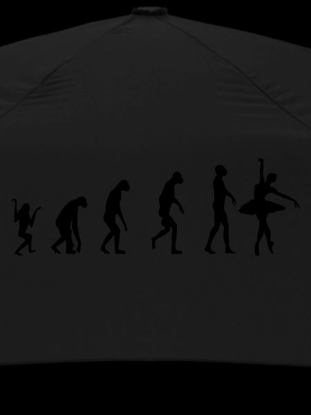 Evolution Ballett
