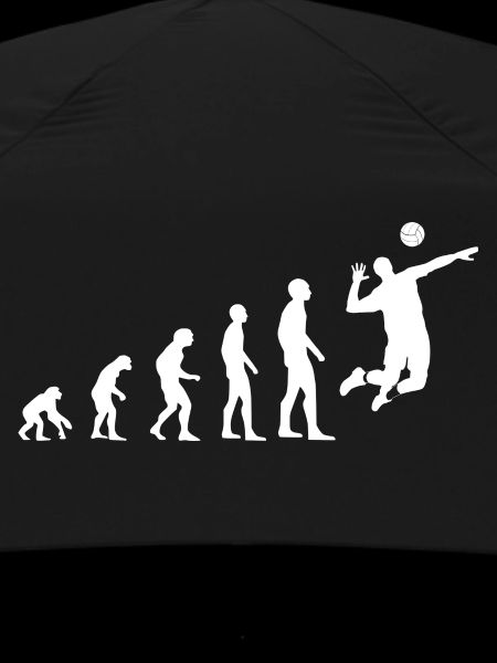 Volleyball Evolution